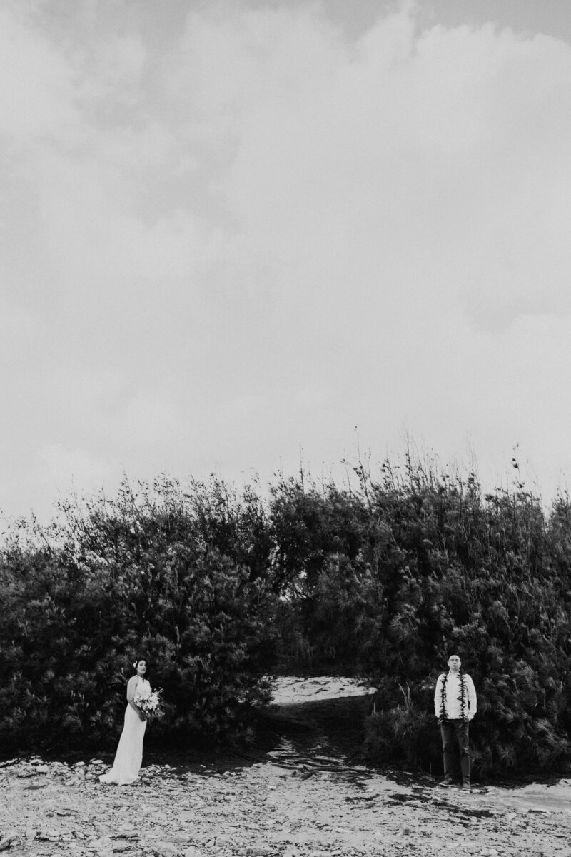 22.04.19_22.04.19_Jennifer and Steven_Kauai wedding _0324