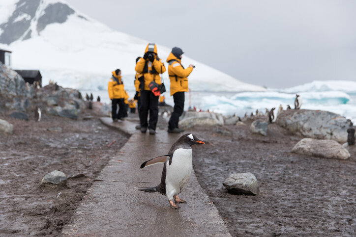 Travelers in Antarctica taking photos of the penguins in the icy cold  landscape