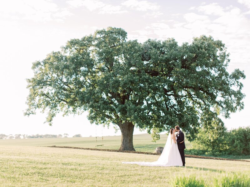 Bride and groom kiss under large oak tree
