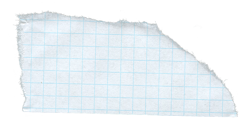 Piece of torn grid paper