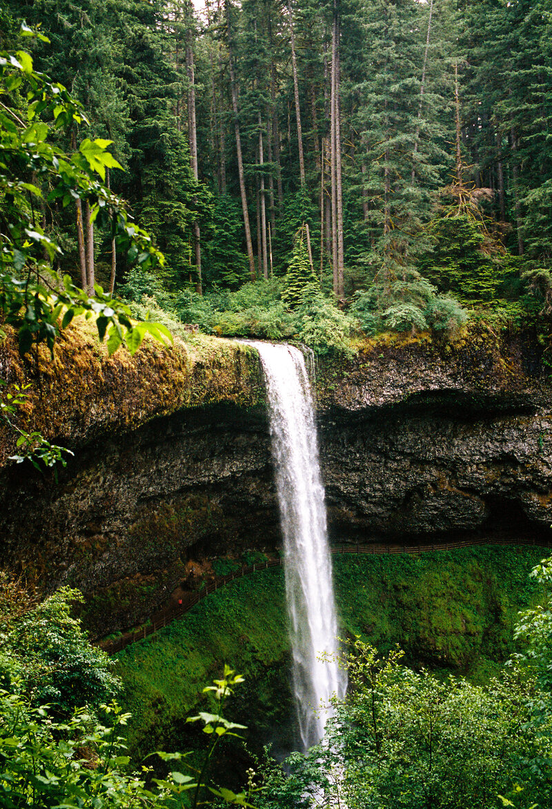 Oregon Waterfall 1