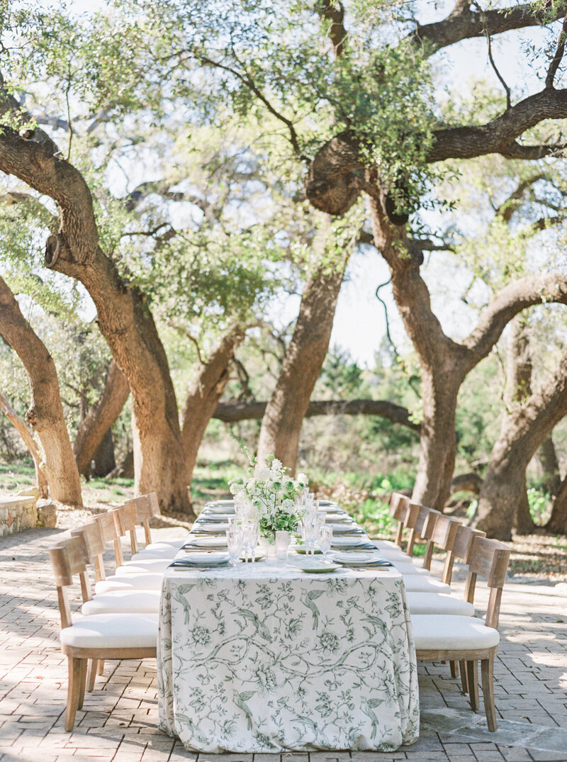 Mary Ann captured this sweet autumn Aspen wedding at Chair Mountain Ranch.