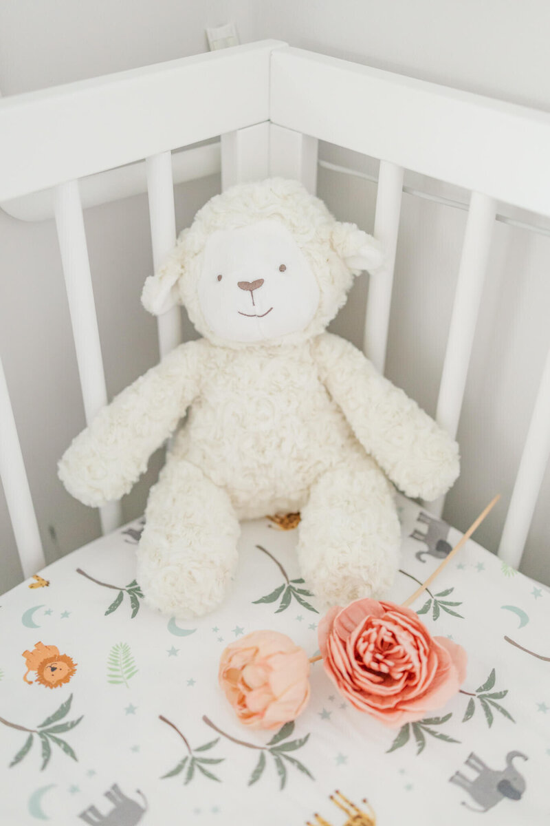 Rockhampton-Newborn-Photographer-172