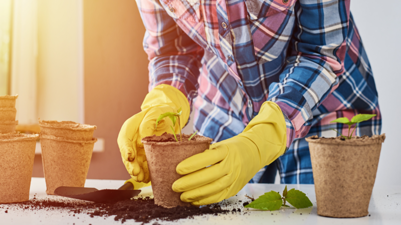 Mom potting a plant