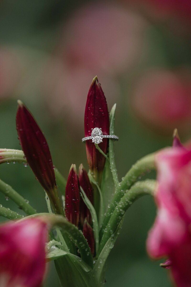 Savannah Georgia Engagement Photos-0551