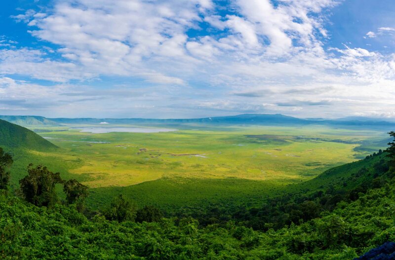 Tanzania Safari  (13)