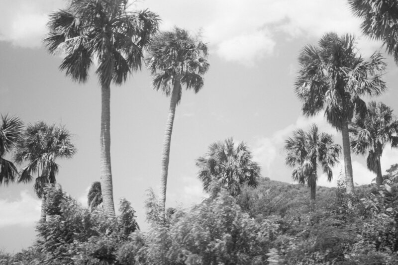 Josiah-Ryland-Wedding-Photography-Dominican-Republic-Destination-Beach-2972