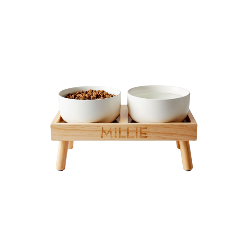 luxury dog feeding station