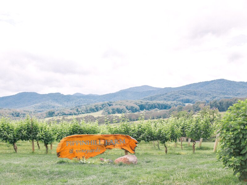 Pippin Hill Wedding Charlottesville Virginia Photographer_17