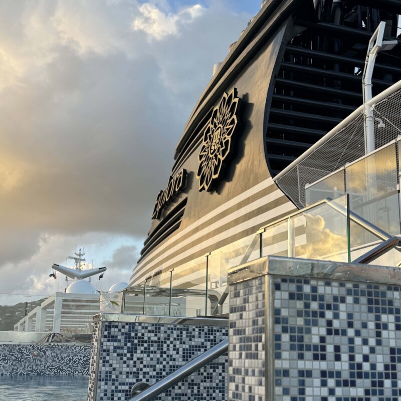 Looking up from pool to black and striped cruise ship with a flower on the side 