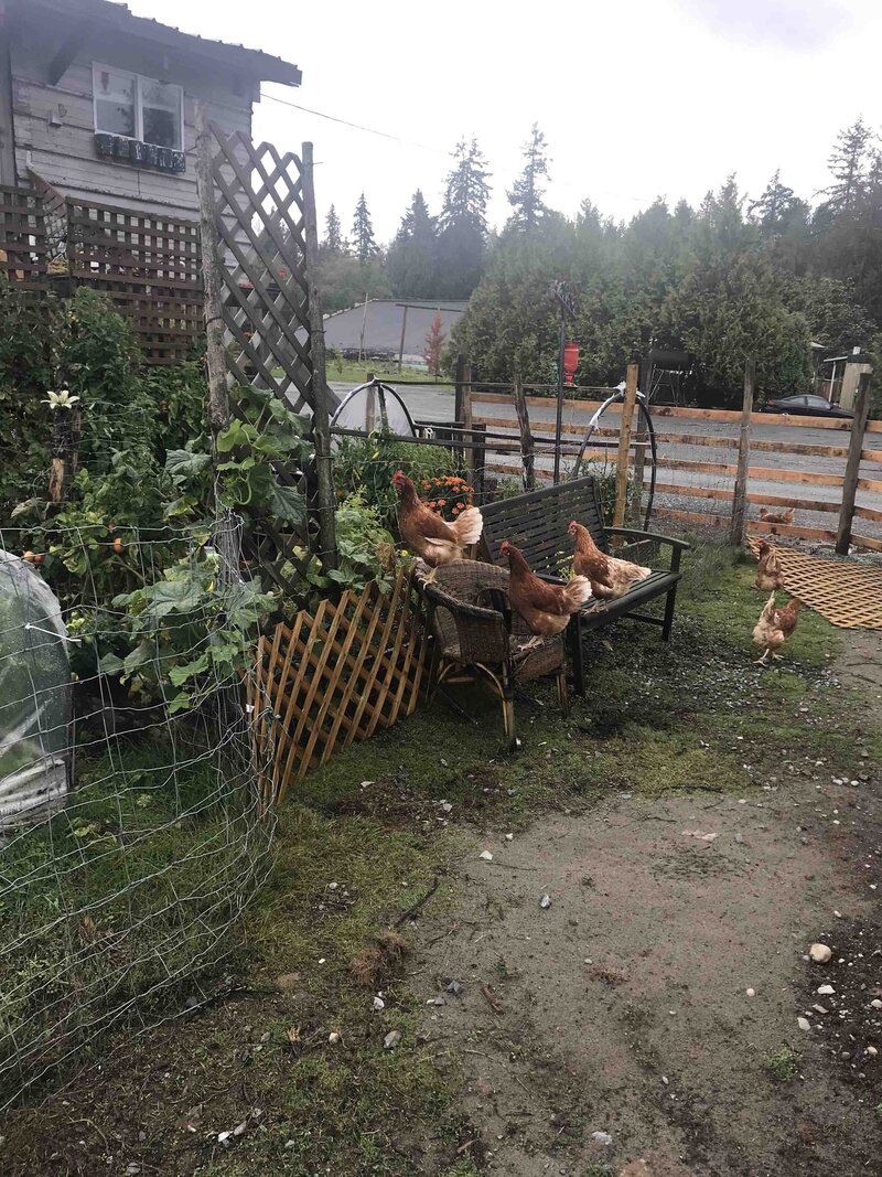The Silo garden 2018 - 01