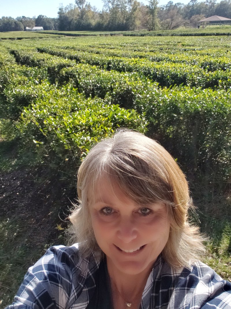 Copy of Gena charleston tea plantation