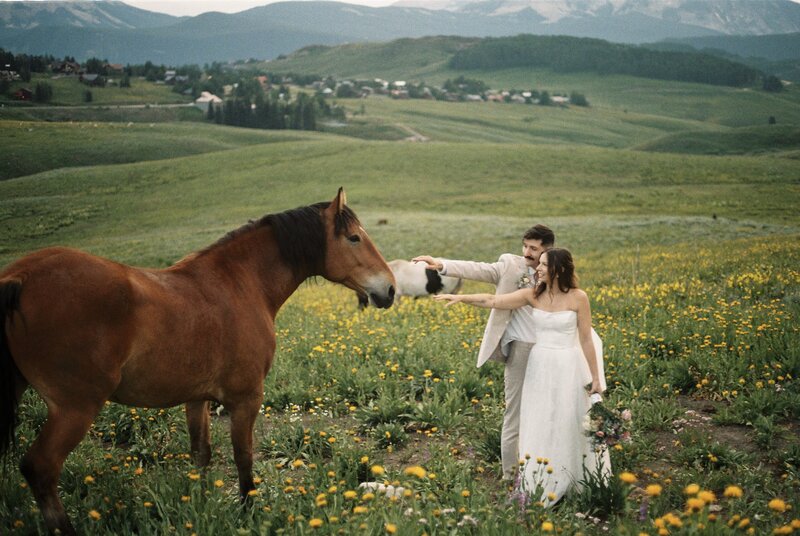 karleigh-and-jake-crested-butte-wildflower-elopement-on-35mm-film-22