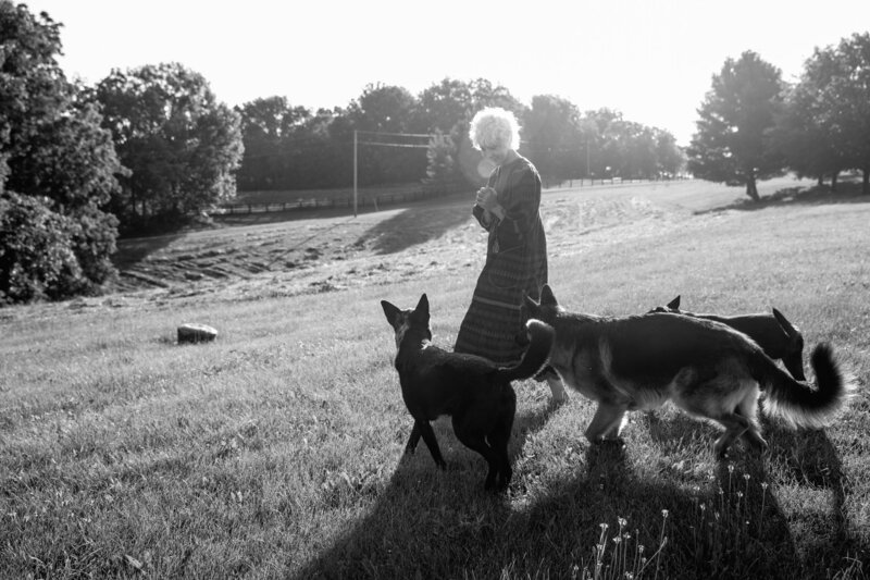 Sasha with group of dogs obeying commands in black and white