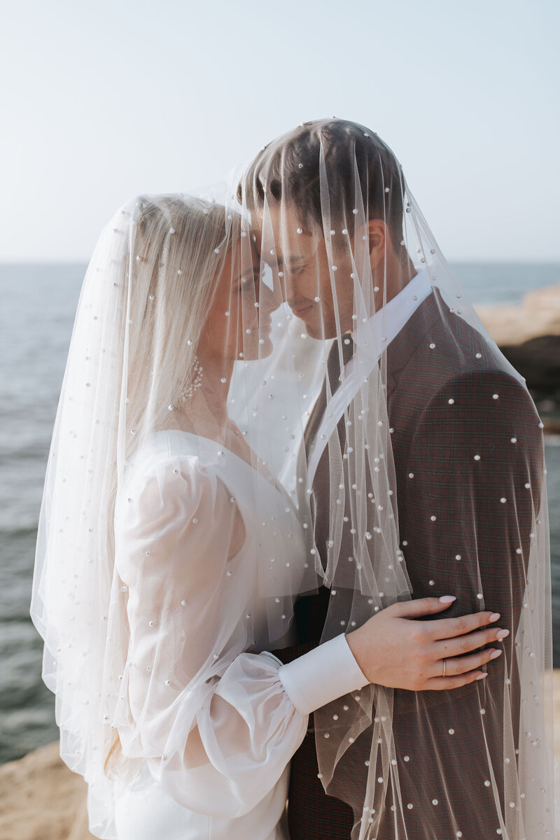 bride and groom under veil