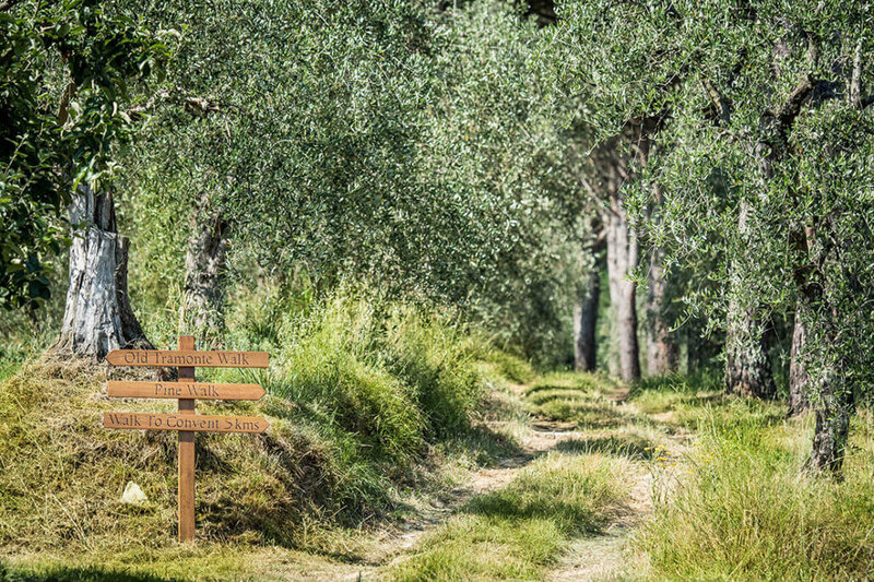 Nature-Walks-1030x686