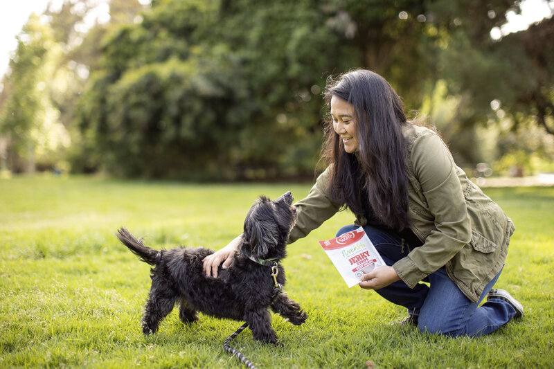 commercial dog treat photo