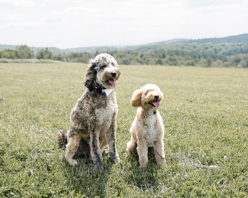 M + P - 6.3.23 (Ellen Sargent Photography)-77