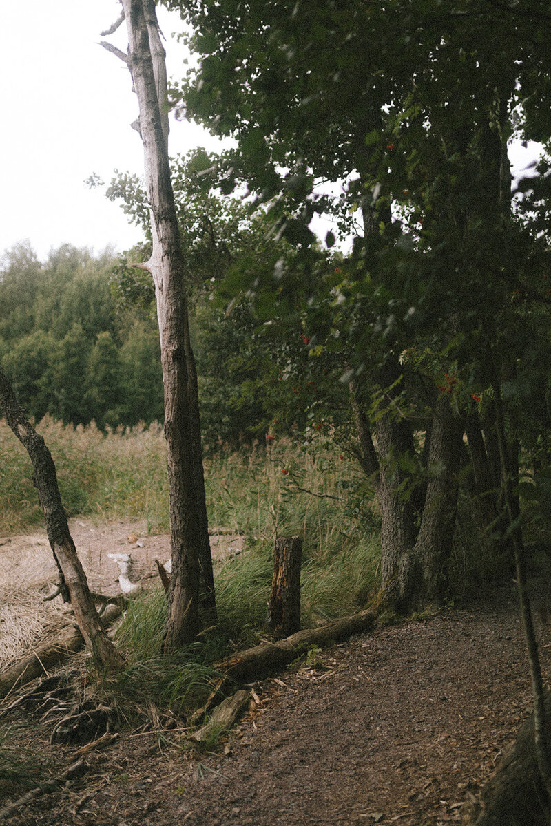 helenavalmis-142_websize