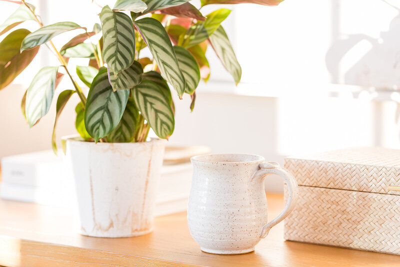 Mug and plant