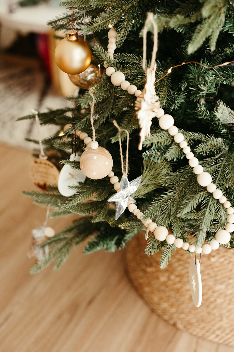 Hannah Christmas-101