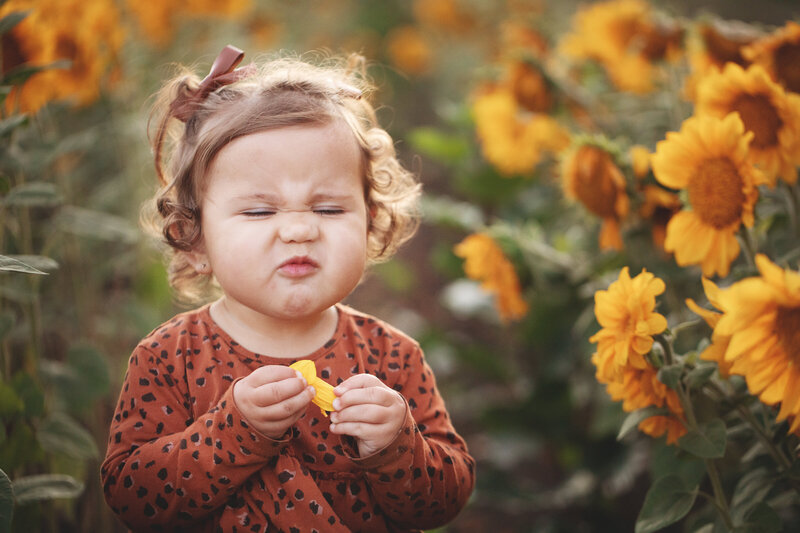 little girl in sunflower field