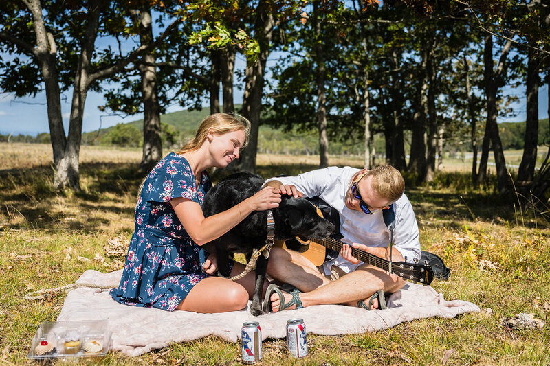A couple on their elopement day take a moment during their lunch picnic to pet their dog.