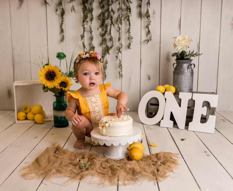 Charlottesville Cake Smash Photographer Melissa Sheridan Photography_0009-1