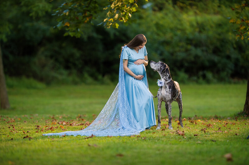 Maternity image with great dane and woman