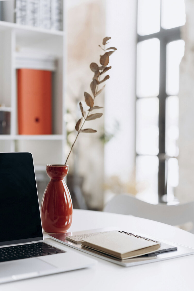 Immigration Evaluations by Therapist Elizabeth Elster using a Laptop