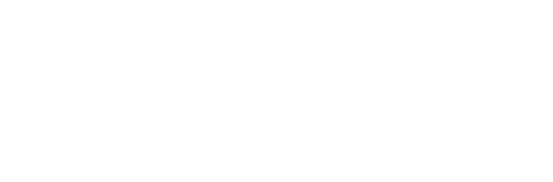 Dancers Studio Logo - White and Transparent Background - Horizontal Orientation