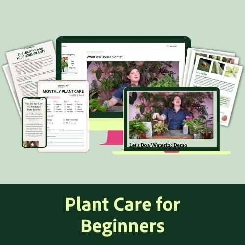 Plant Care for Beginners Digital Course