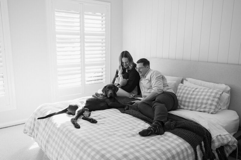 Newborn Photography Albury, Wodonga, Wangaratta, Rutherglen