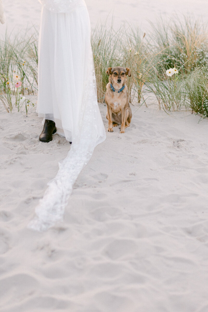 beachwebsite-15