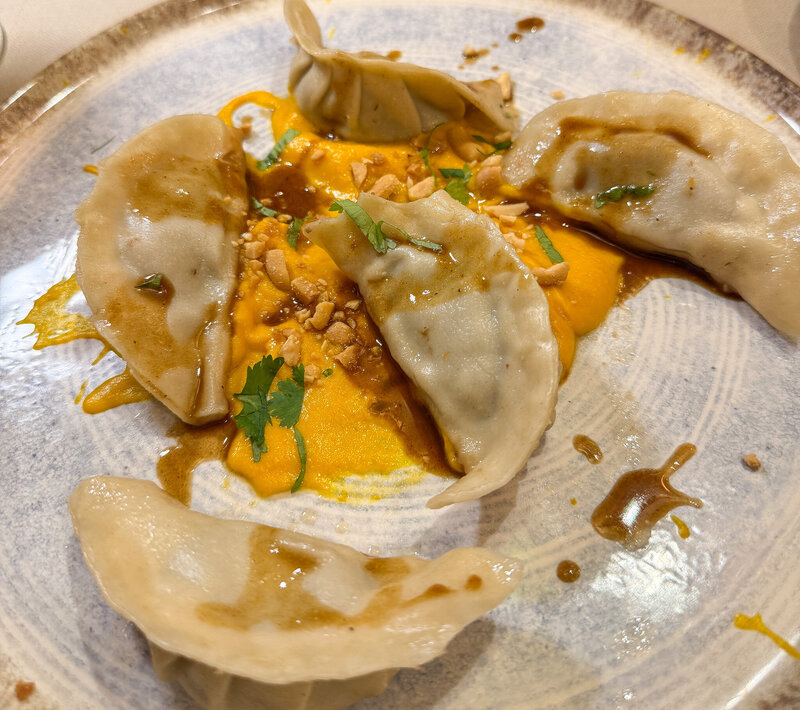 Gyoza at L'Angolo Tondo in Lucca, Italy