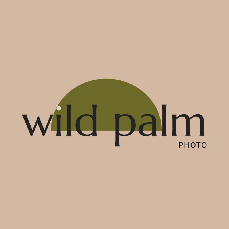 Wild Palm Photo Logo Image-01