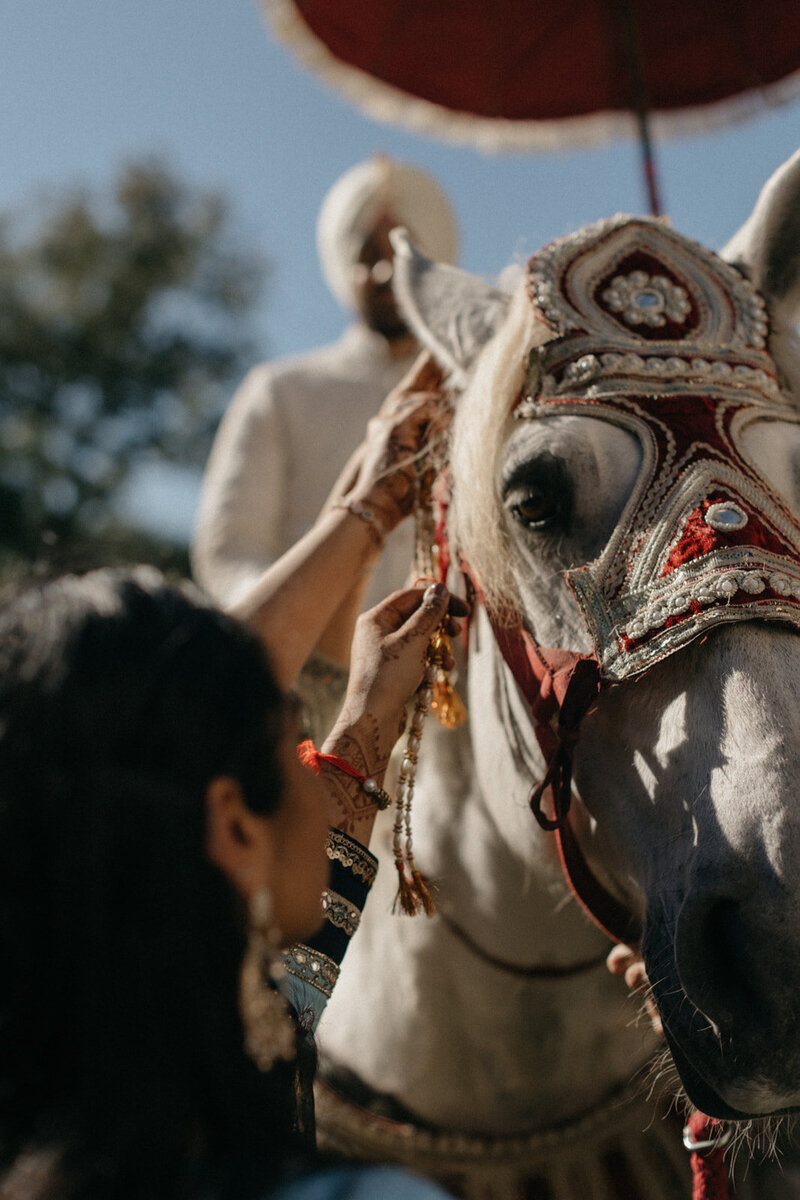 N&G_Ceremony Day-0283