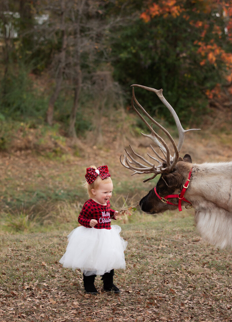 girl-laughing-at-reindeer-in-buffalo-check-pattern-with-white-skirt-in-mansfield-tx