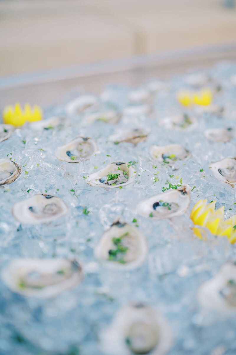 KJP_Morton_Wedding-1006