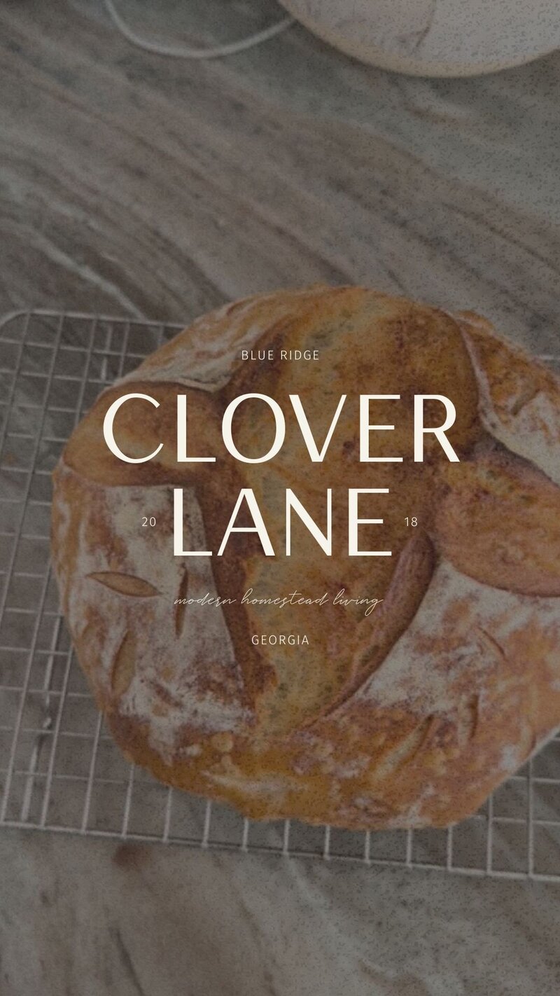 CloverLane14