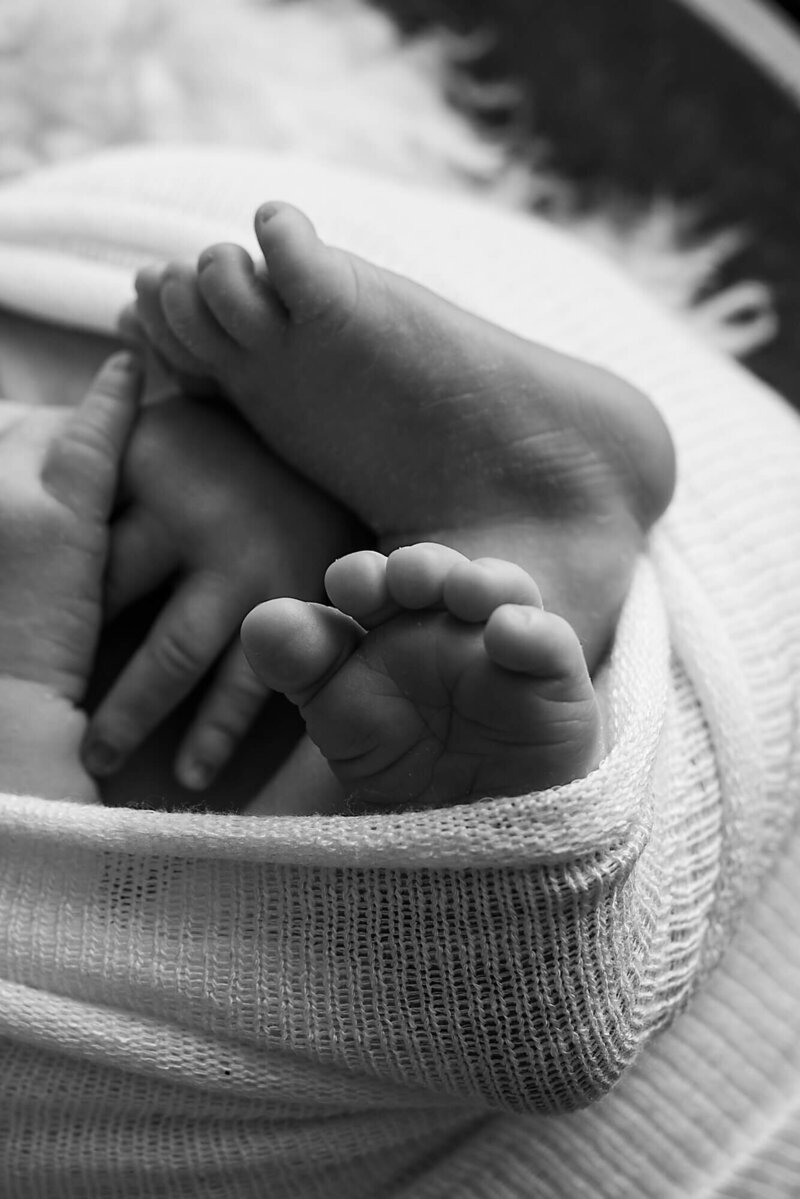 Milwaukee Newborn Photo baby toes black and white | Glory Be Photo by Tara Bos