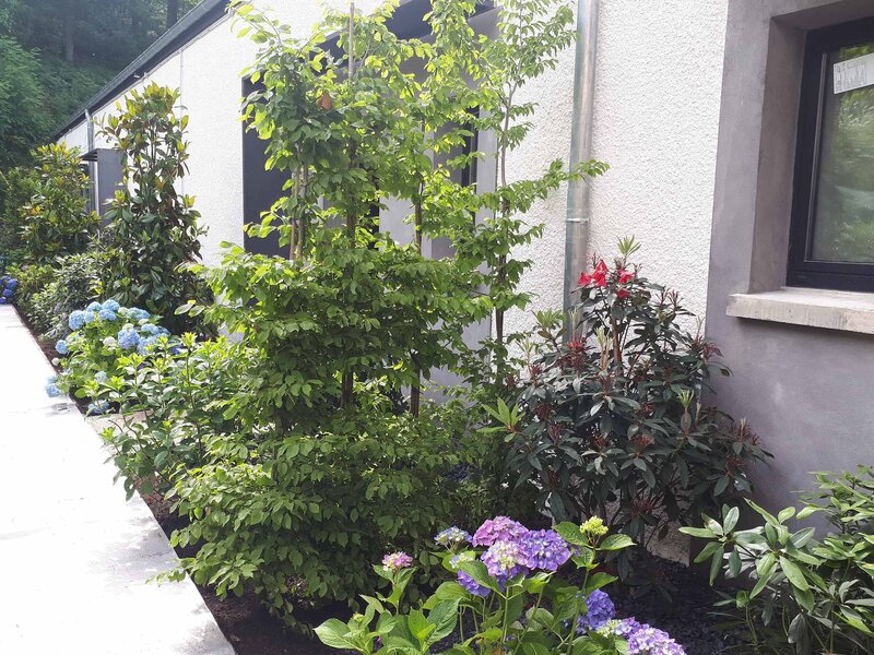 Par terre de fleurs et plantes sur le devant d'un appartement