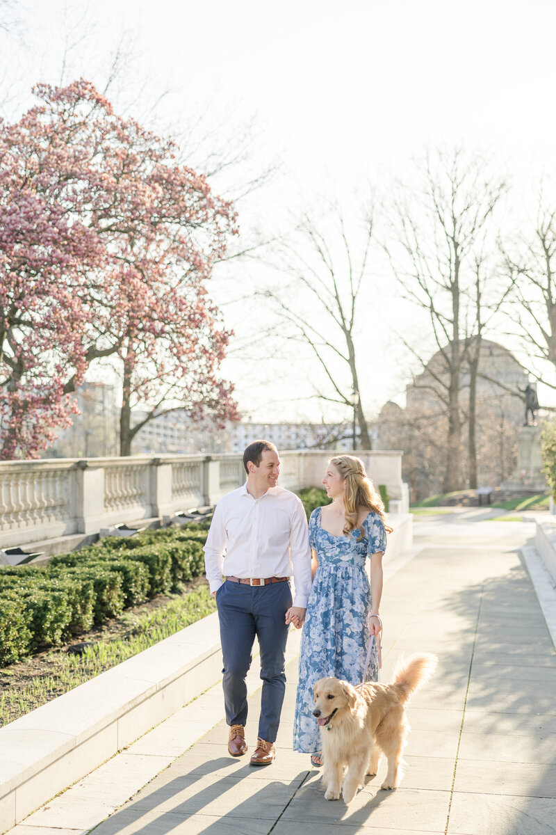 Wedding Photographers in Akron OH tall grass golden hour photography golden retriever and couple photo
