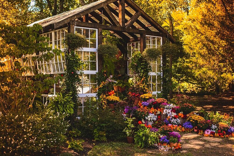 Fall Inspiration Decoration Greenhouse_0010