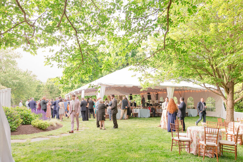 Great Fall Virginia Backyard Wedding in the Spring in DC