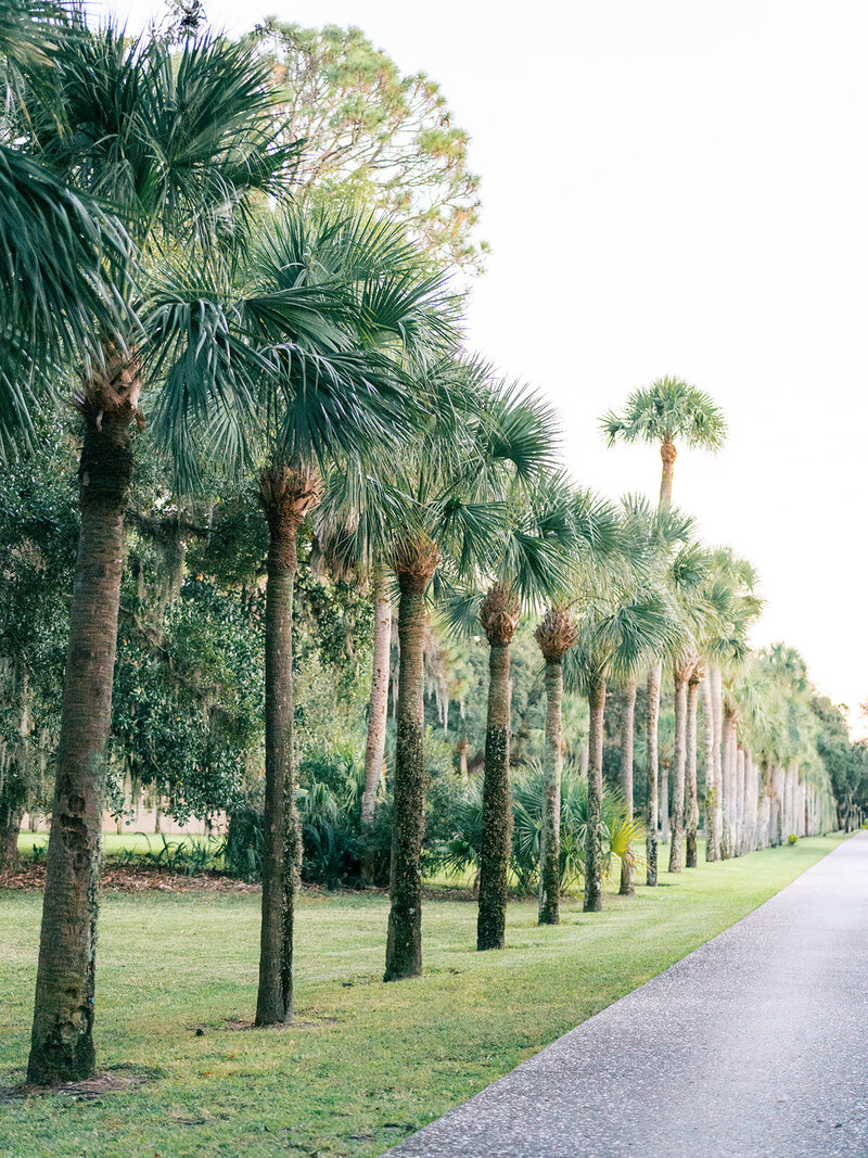 Rachel and Robbie_Jekyll Island Club Resort Wedding_Elizabeth Graycheck Photography_Venue-0020