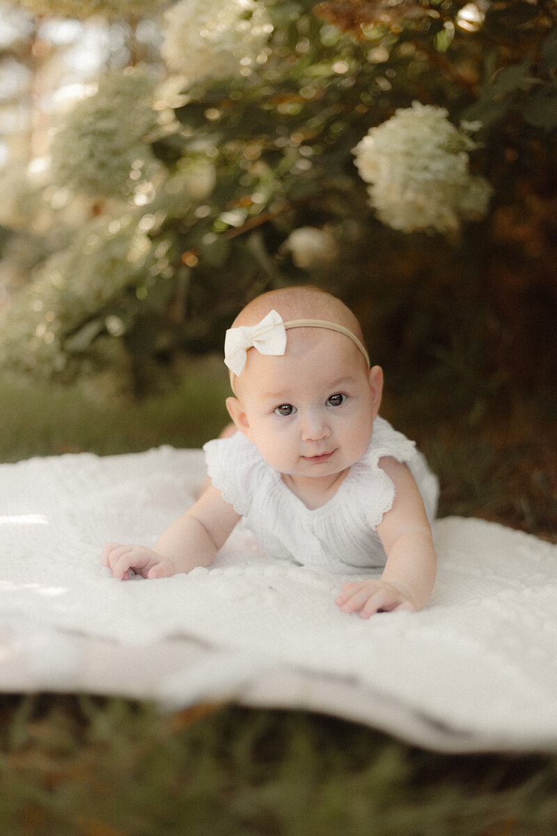 6mo old baby girl in white under hydrangeas by Atlanta Baby Photographer