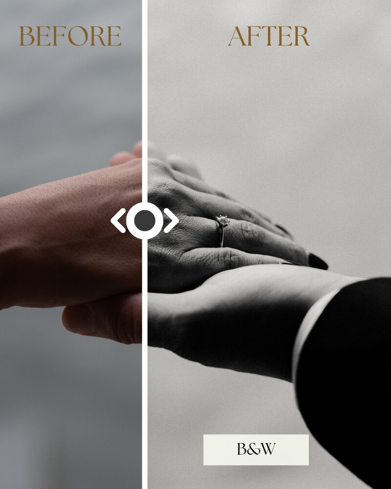 Presets by Emily Before and After - BW