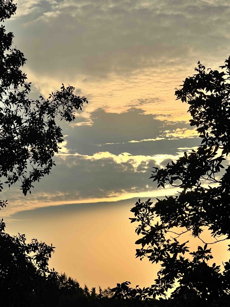 Golden Skies