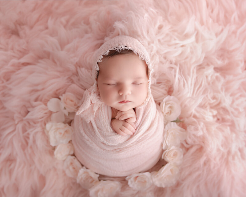A fine-art newborn portrait featuring a baby girl wrapped in blush and surrounded by soft roses on a pink flokati rug. Shot in our Paris, Ontario studio.